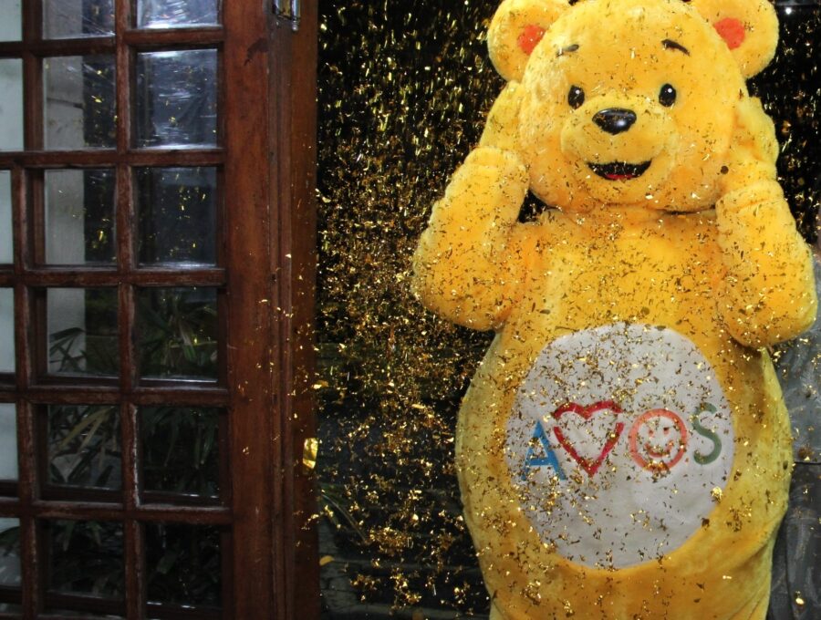 Mascote da AVOS Mascote da AVOS